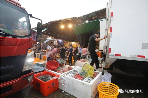 普惠金融推進月 活水涌向水產與百貨，農批貸精準紓困解難題