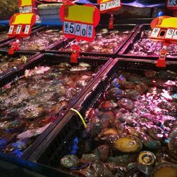 融合與創新 成都農產品中心批發市場海水產交易區的日用百貨銷售新業態