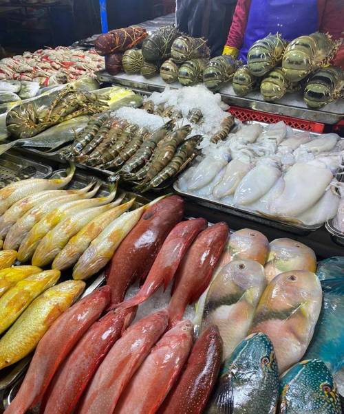 免租半年，搶占先機！博羅水西農貿綜合批發市場水產海鮮一級批發平臺盛裝啟幕