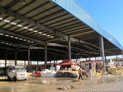 春節(jié)前的水產(chǎn)品農(nóng)貿(mào)批發(fā)市場 年味、忙碌與希望的匯聚地