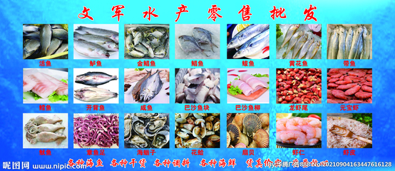 水產(chǎn)品批發(fā) 連接海洋與餐桌的關(guān)鍵紐帶