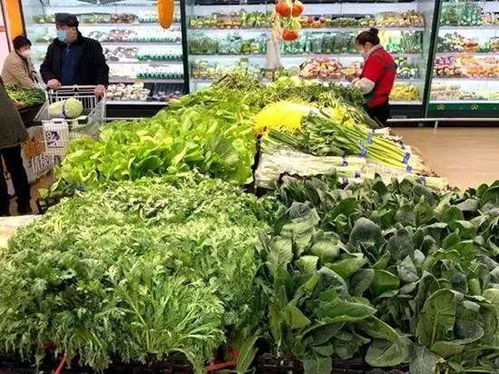 今日青島商超及批發(fā)市場果蔬價格走勢及日用品銷售觀察